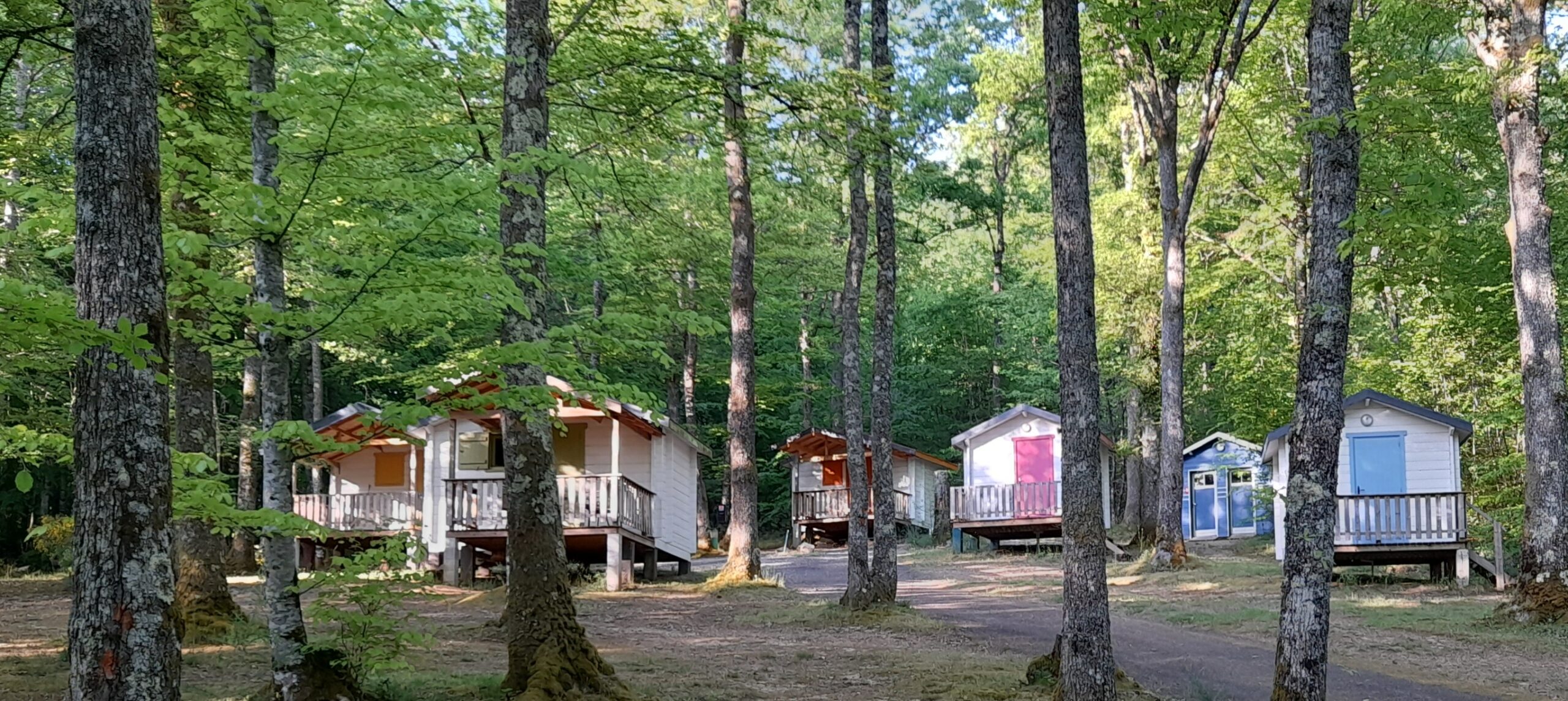 Activiteiten op en rondom Camping Montard