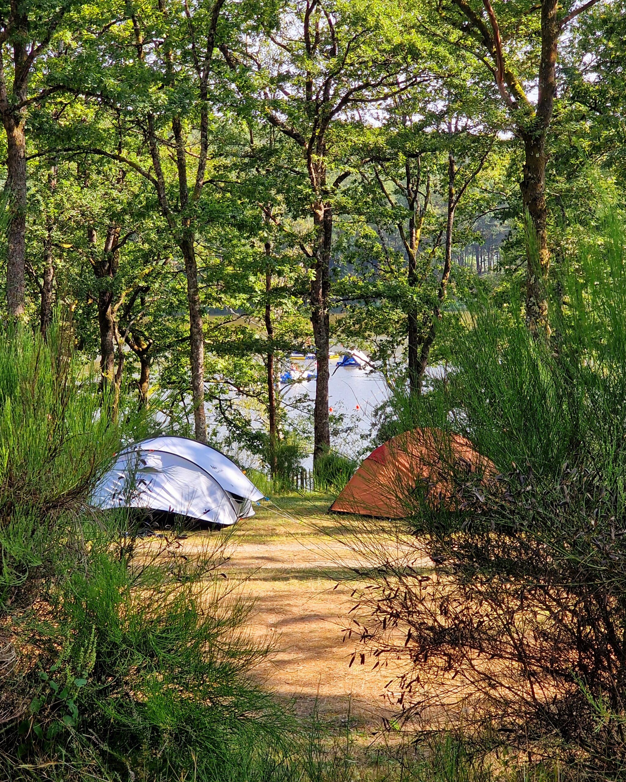 Activiteiten op en rondom Camping Montard