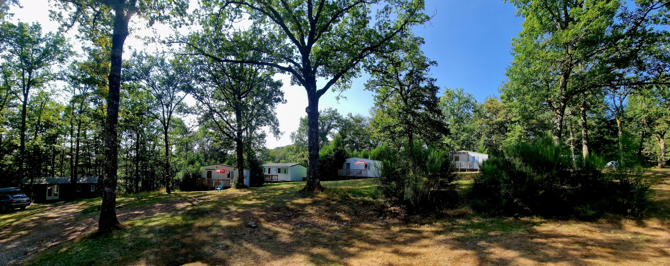 Activiteiten op en rondom Camping Montard