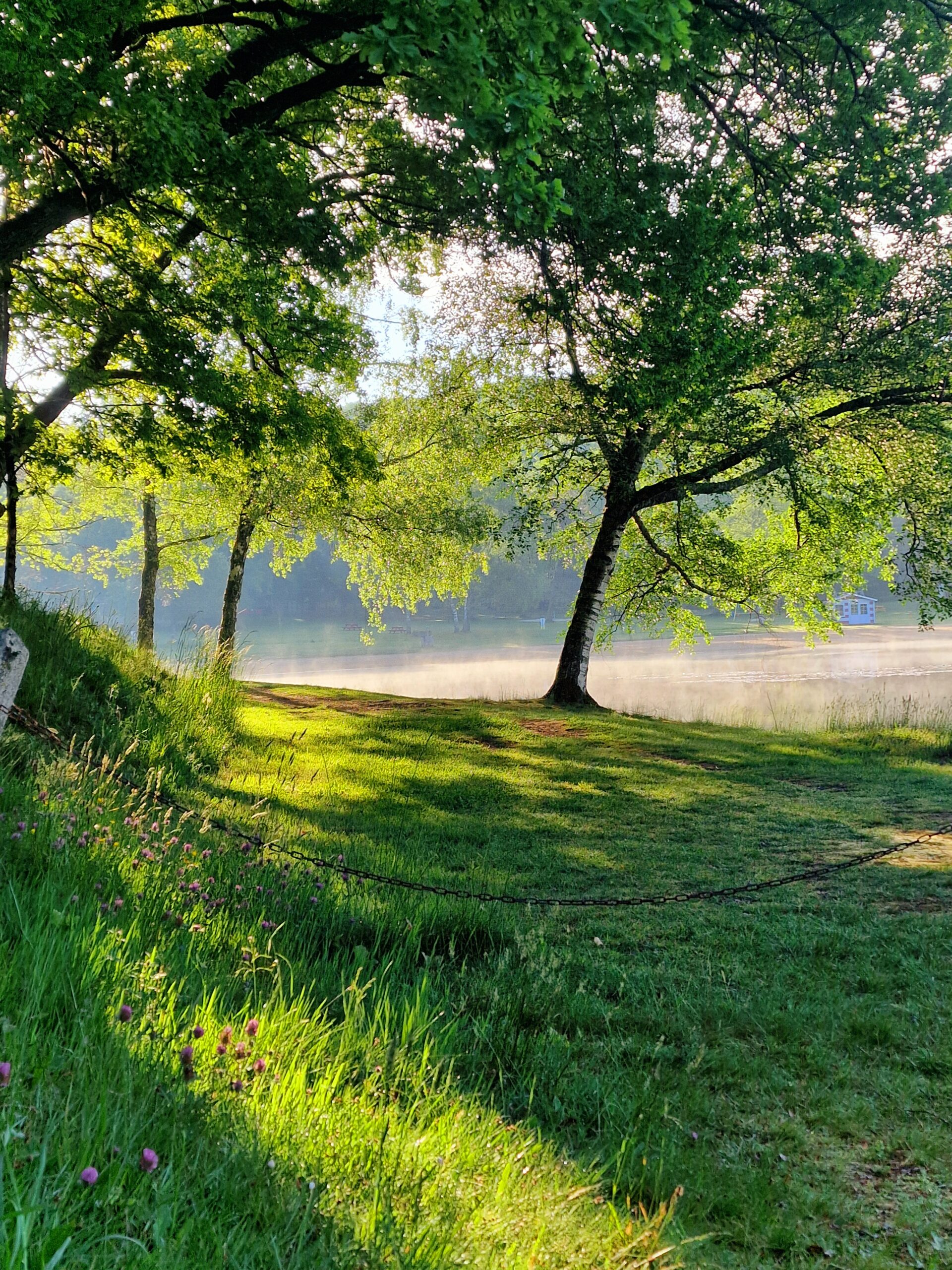 Natuur en milieu