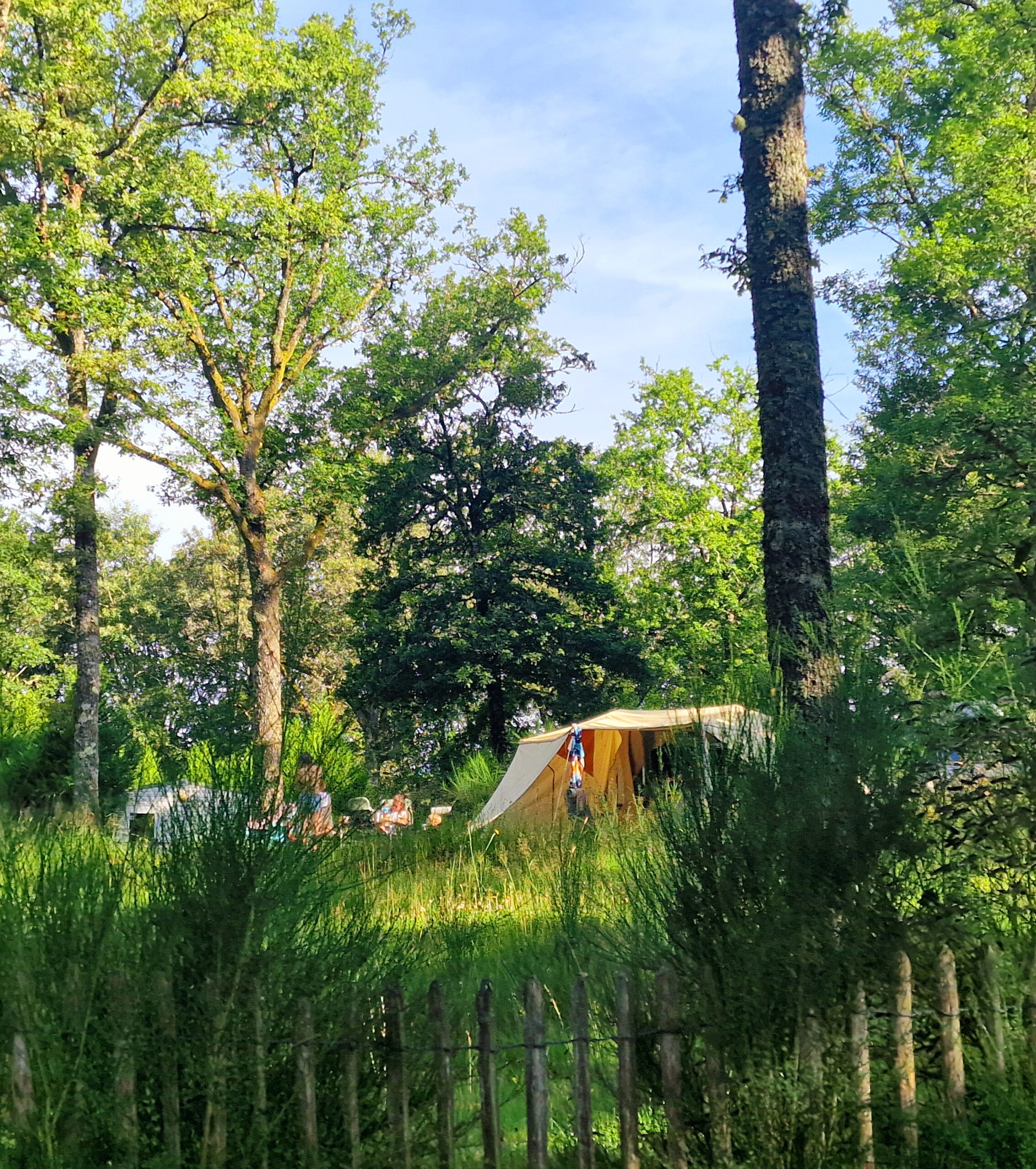 Tentplek